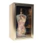 Preview: Jean Paul Gaultier Classique Collector Edition Eau de Toilette 100 ml Damen Parfüm EDT Duft Box